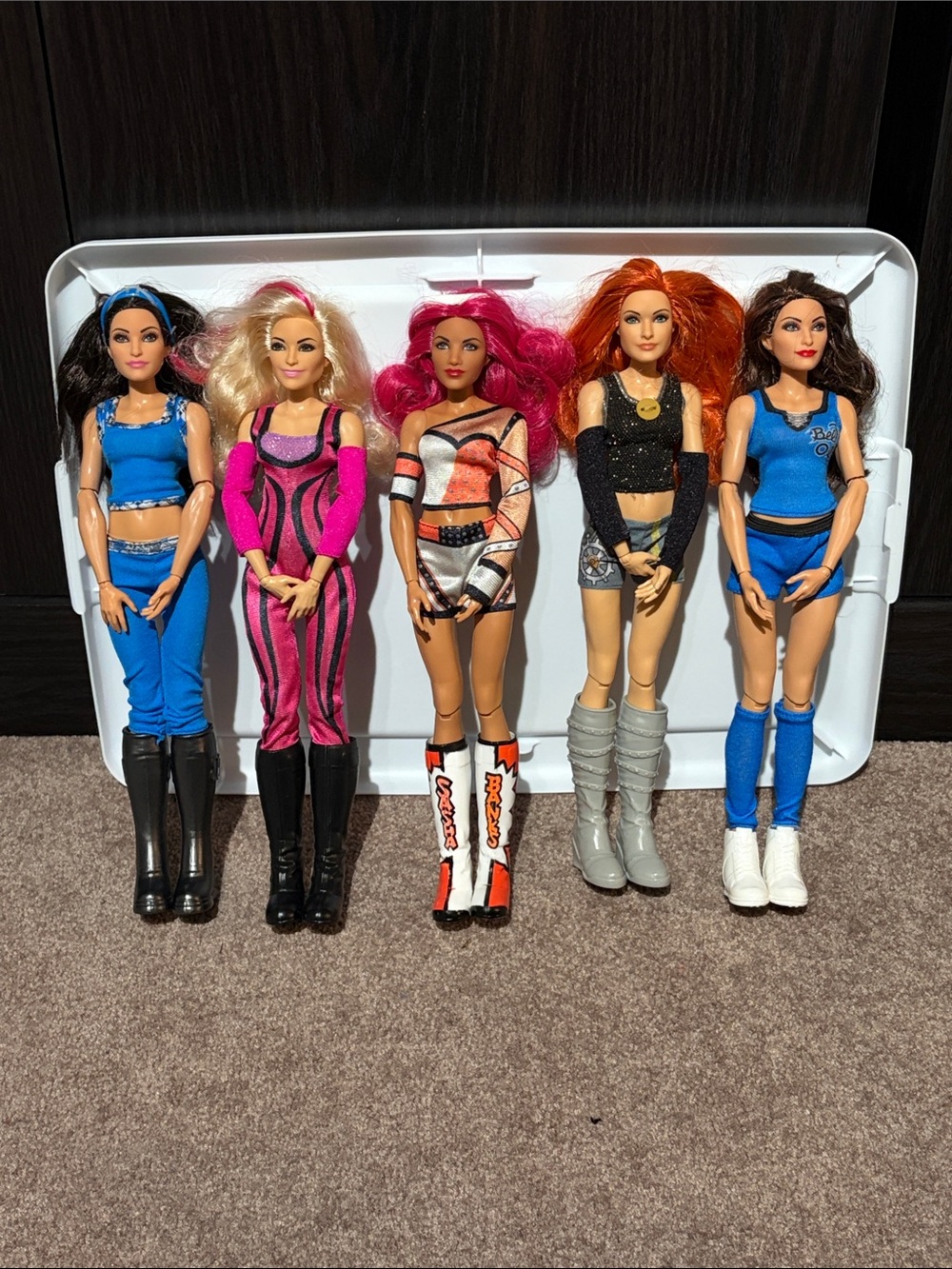 WWE Mattel Elite Diva Doll Lot - #3